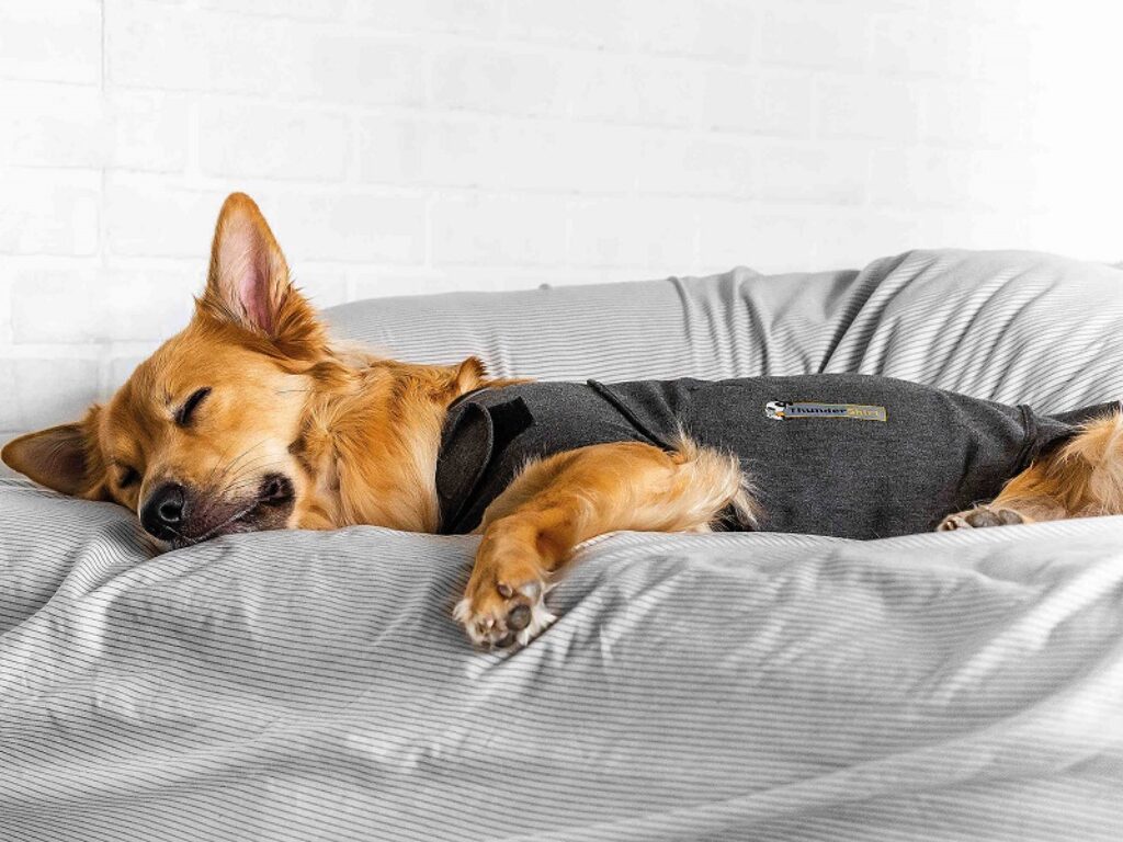 ThunderShirt