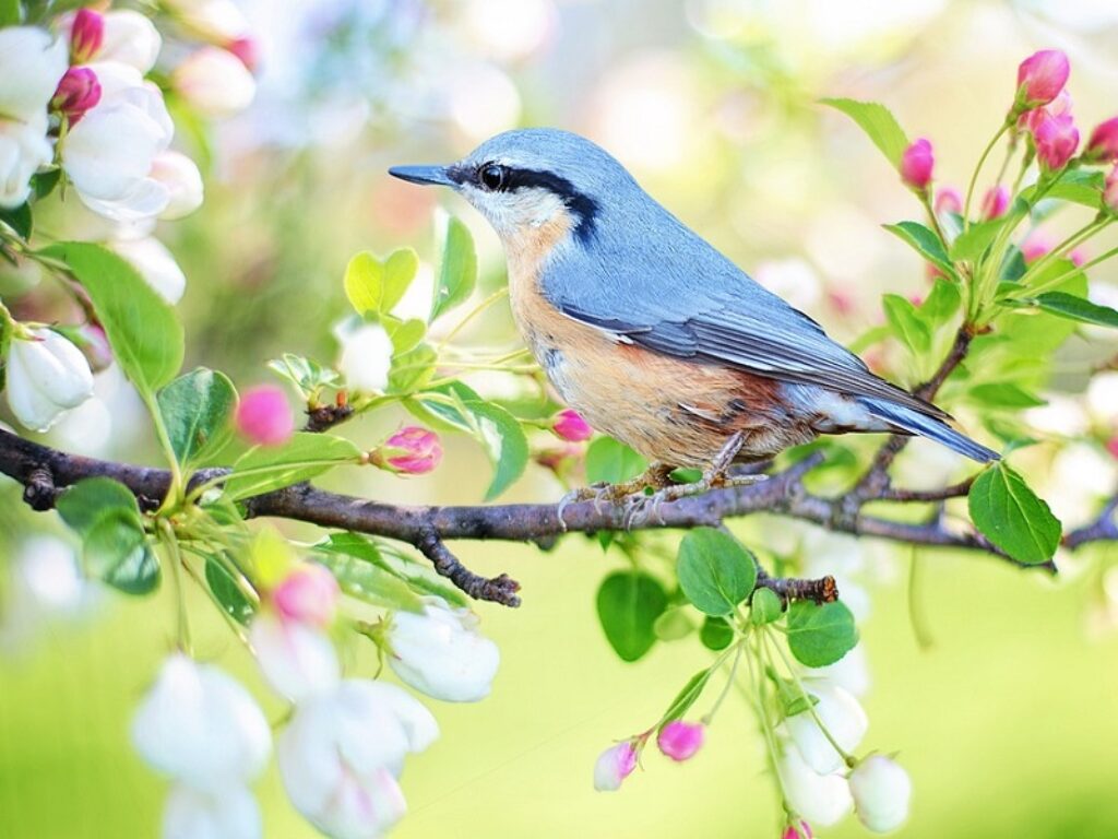 equinozio di primavera