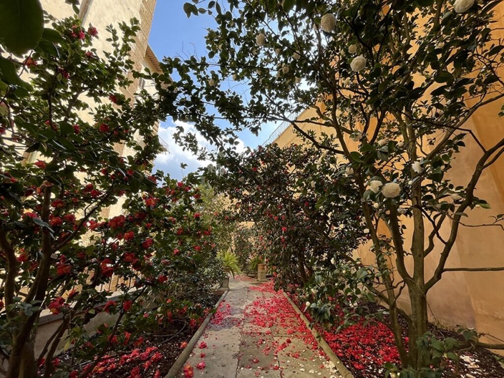 giardino delle camelie