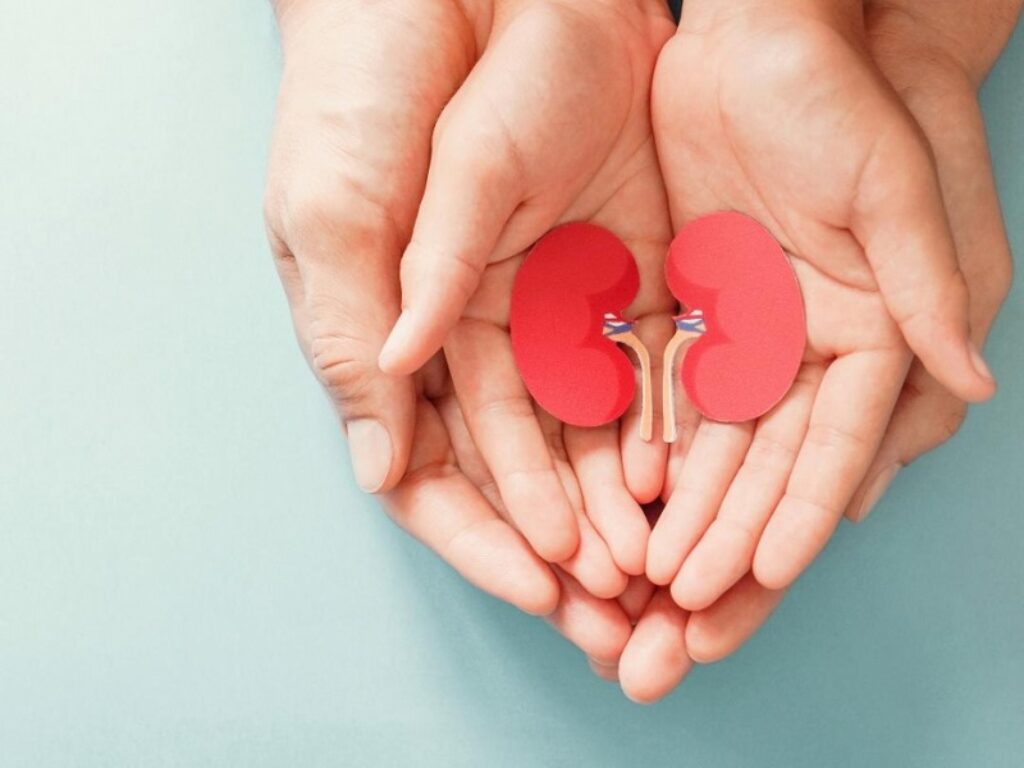 voclosporina reni tumore del rene scheda nefrologica