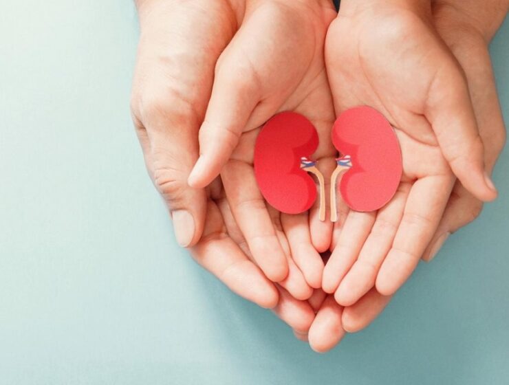 voclosporina reni tumore del rene scheda nefrologica