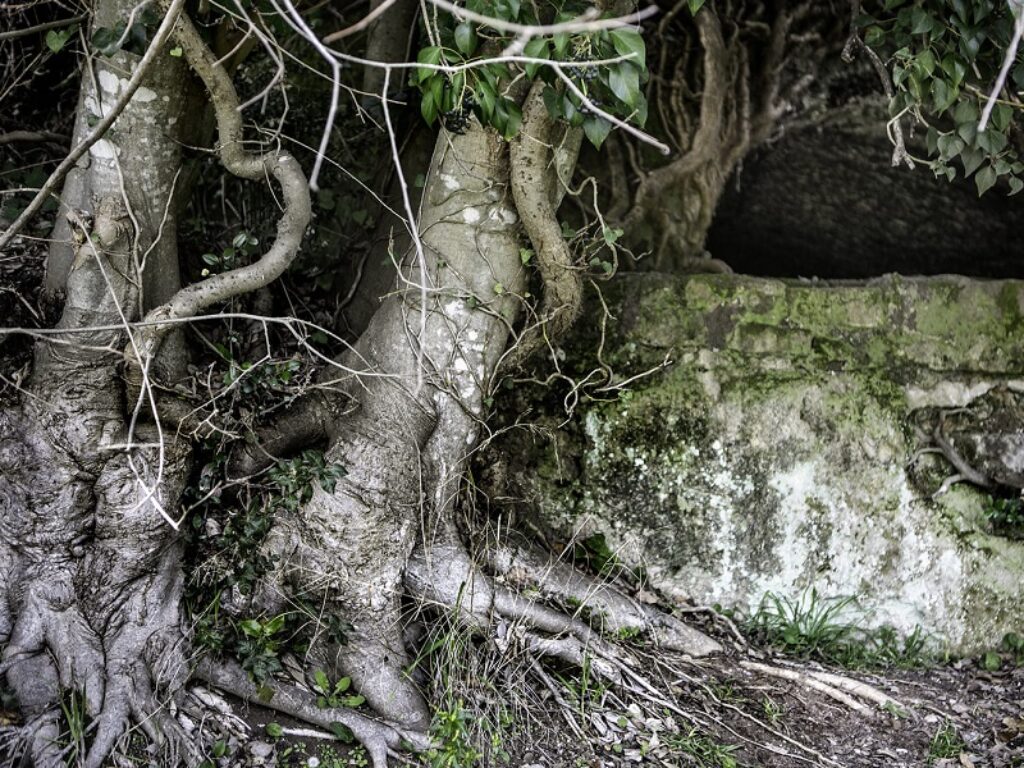 paniere del pellegrino francigena
