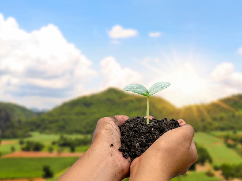 treedom index future respect