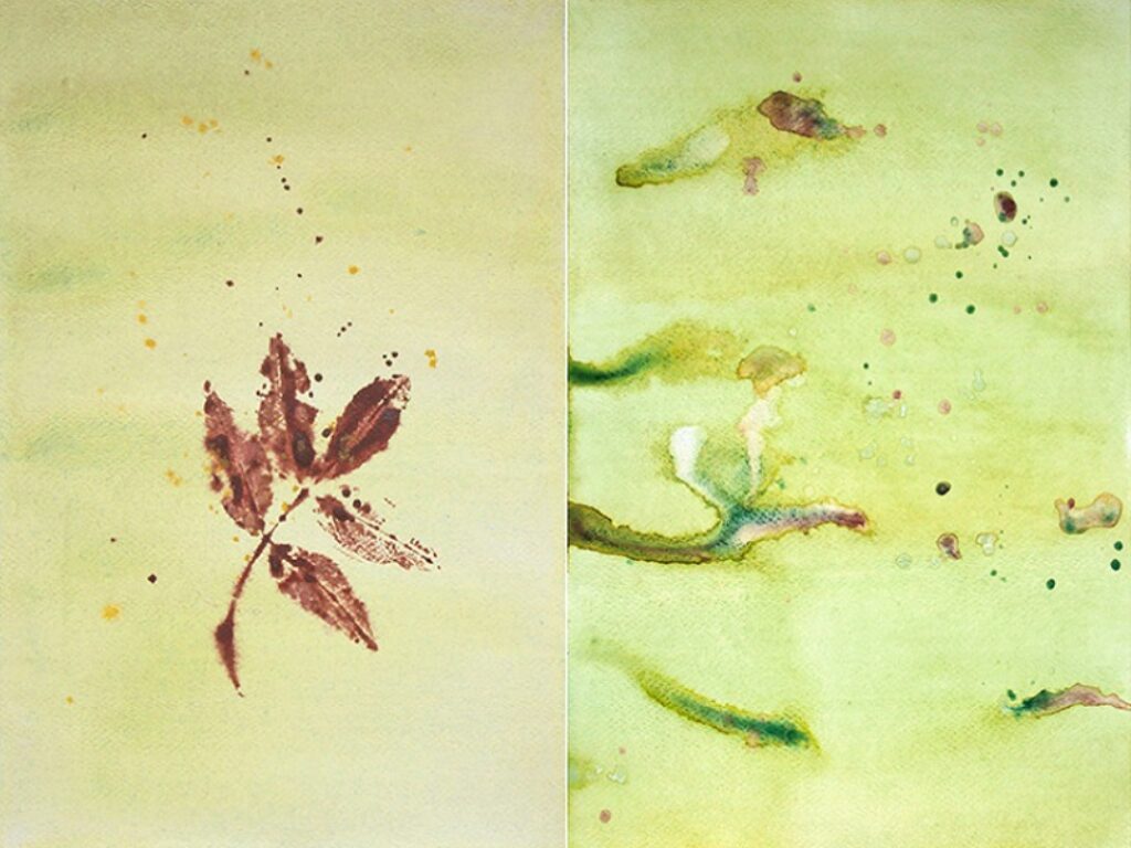 substratum in pardis