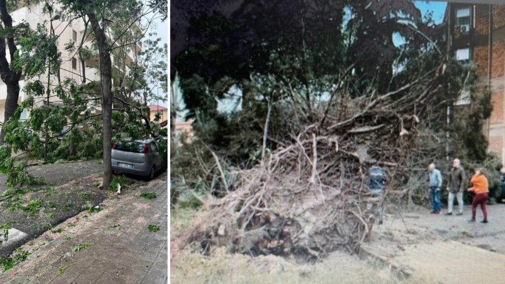 vento reggio calabria