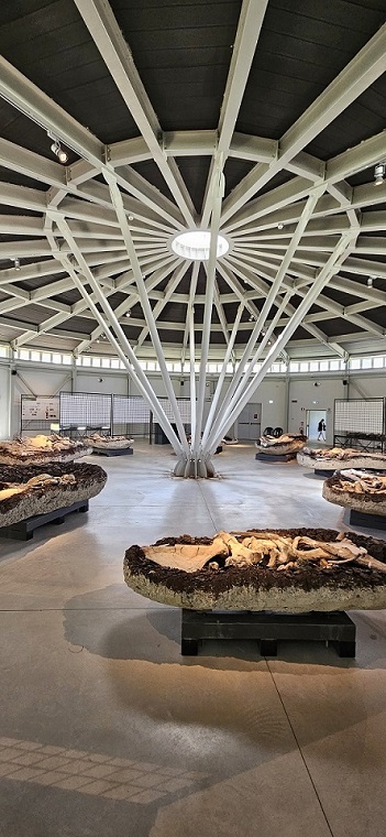 Museo paleontologico