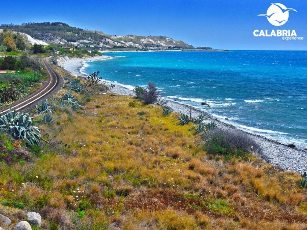 calabria experience