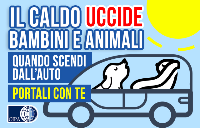 lasciare animale in auto