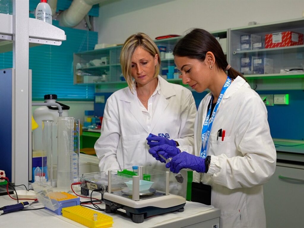 melagrana fegato enea