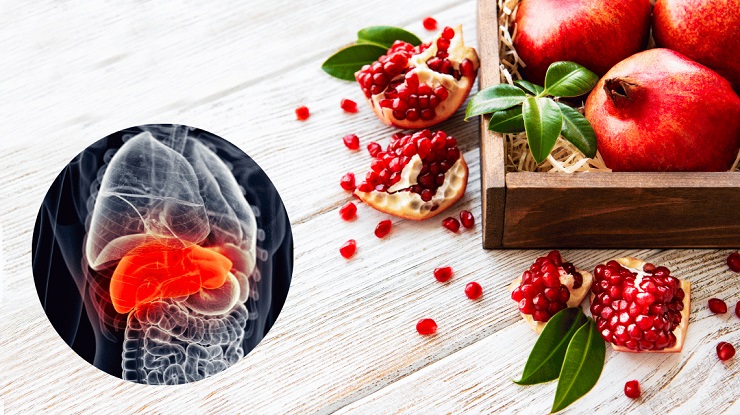 melagrana fegato enea