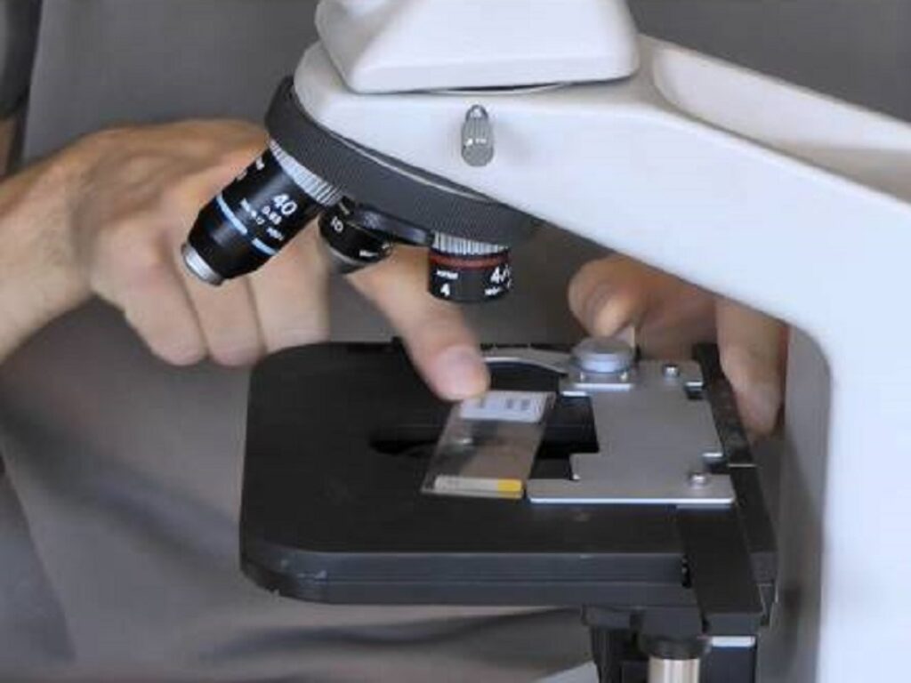 microscopio ottico