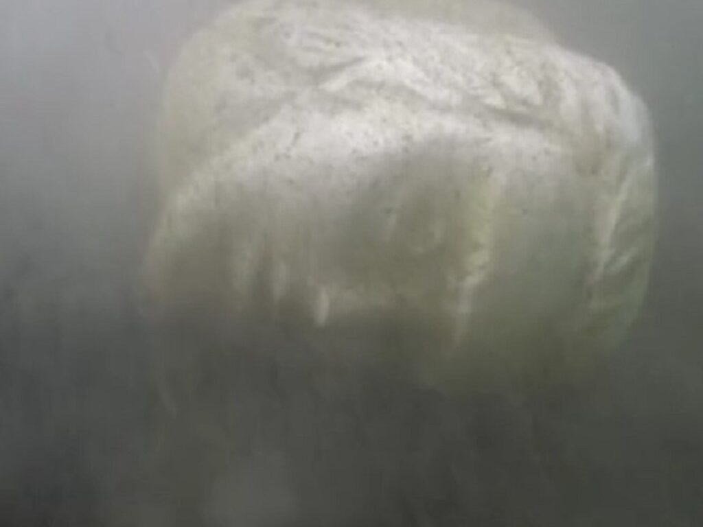 reperto archeologico lago di nemi