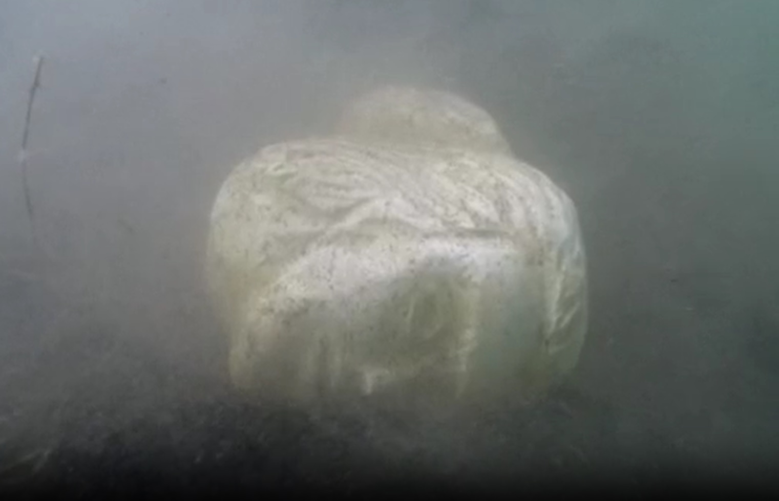 reperto lago di nemi