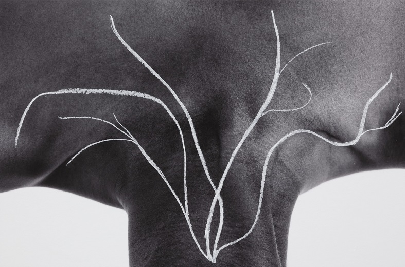 binta diaw giornata del contemporaneo