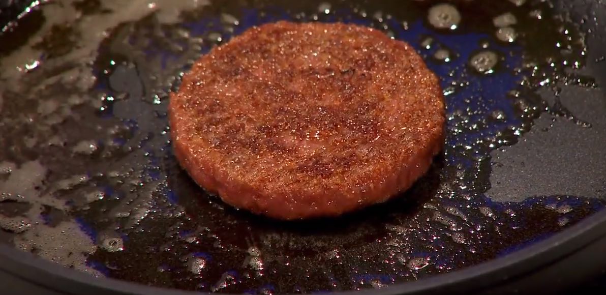 carne coltivata in laboratorio