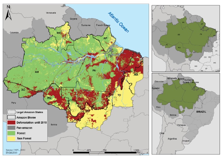 foresta amazzonica deforestazione