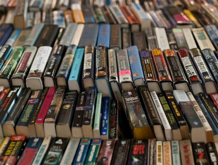 libri scrittori maria luisa alberico