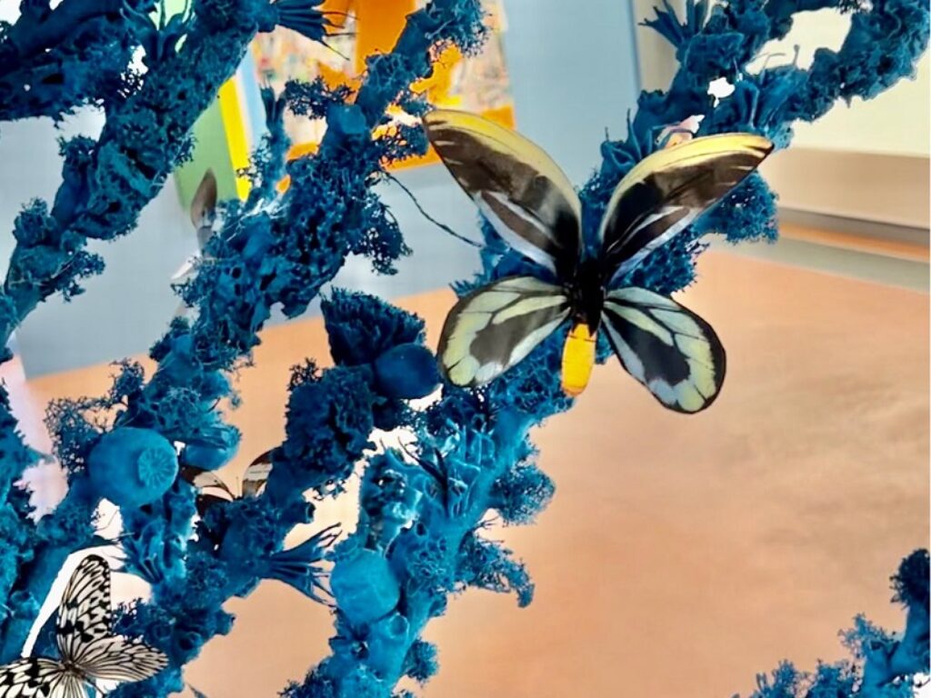 maurizio ceccarelli mostra