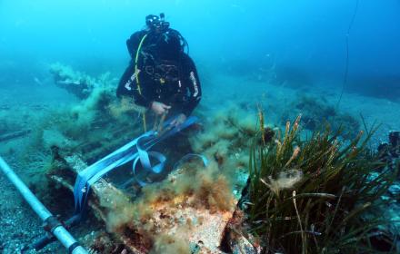 macchi c.202 folgore