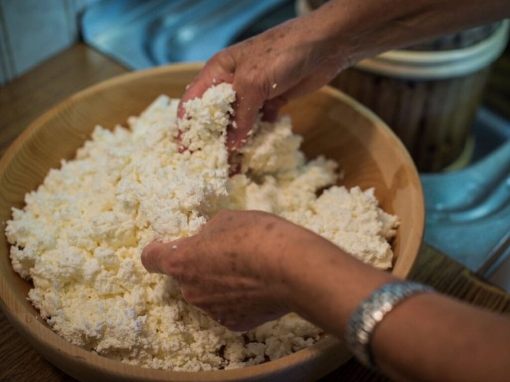 Giornate del Graukäse