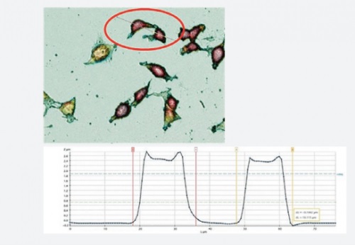 profilometria ottica