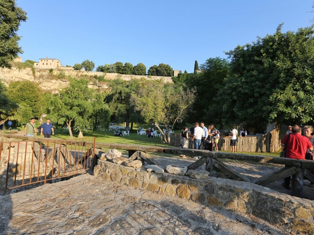 Tra i rami dell’arte