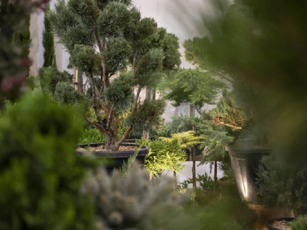 THE GREEN LIBRARY e XILOTECA a Flormart