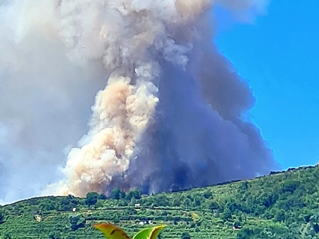 incendio ischia