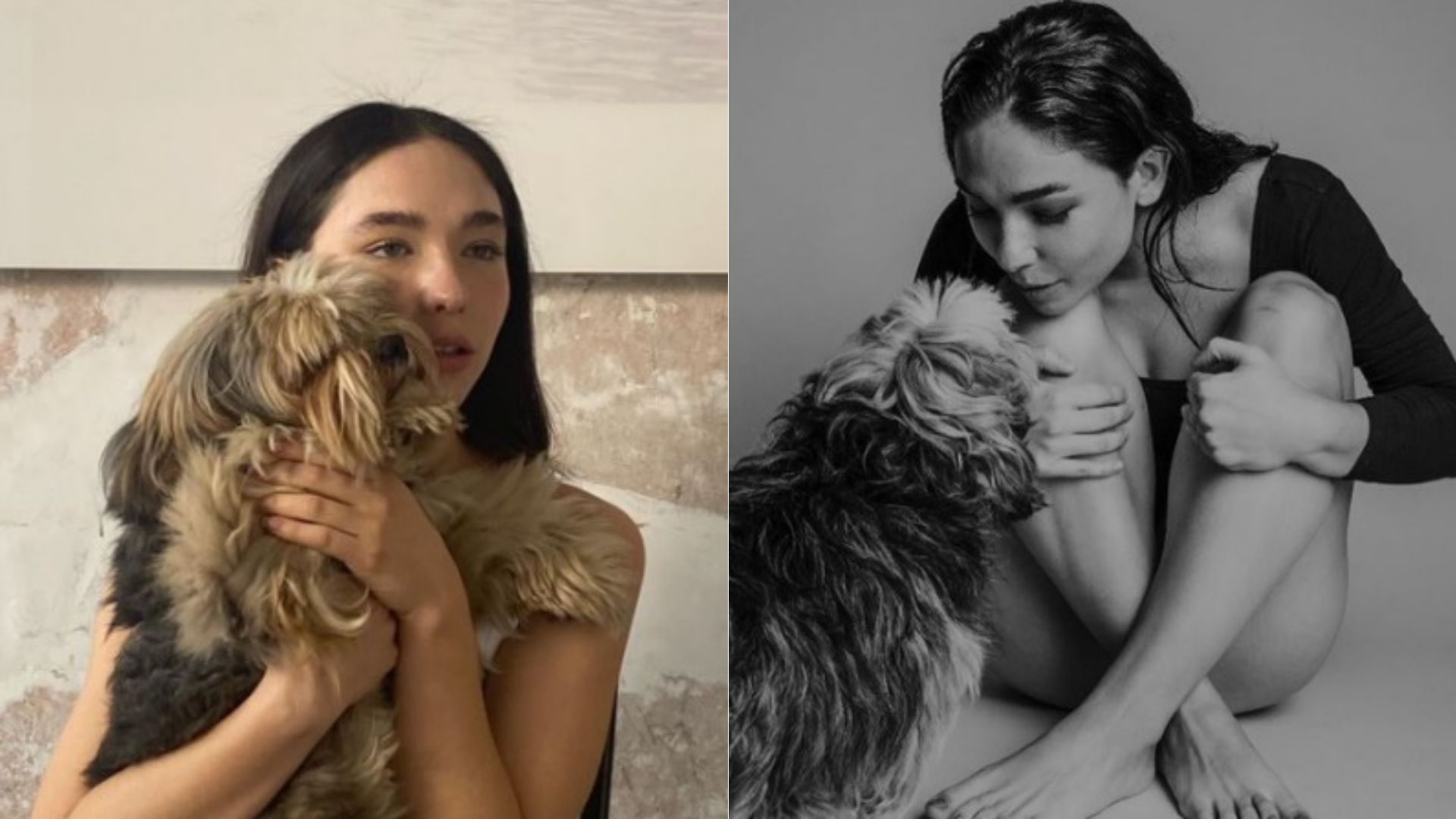 matilda de angelis cane