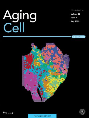 cellule tumorali senescenti