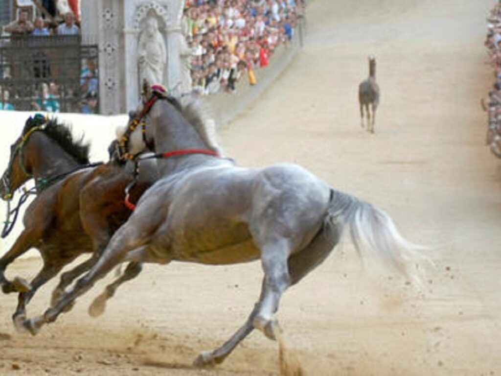 palio di siena