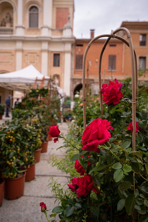 Piante e Animali Perduti