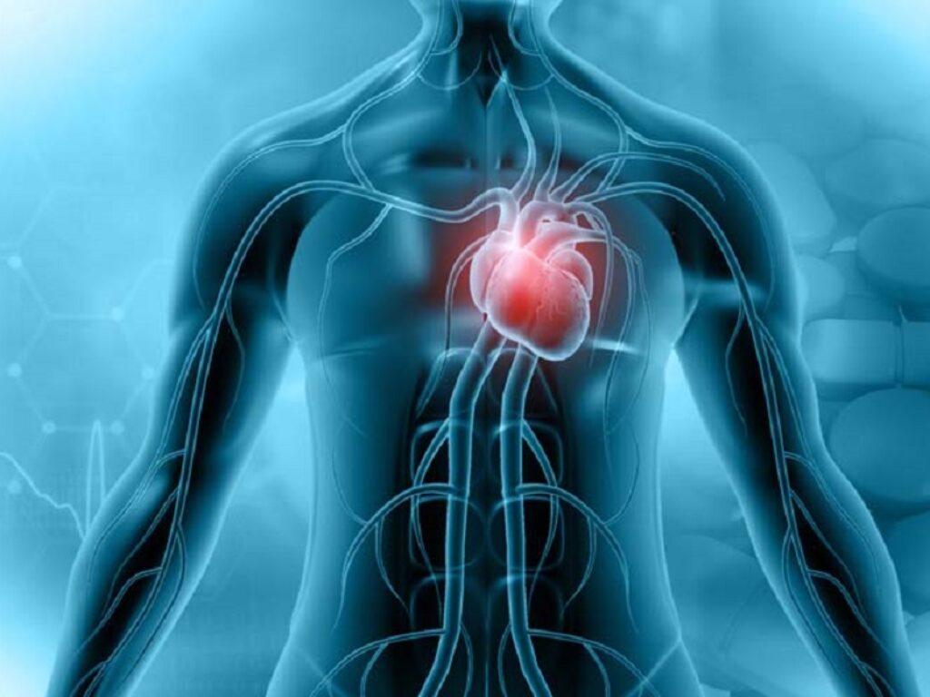 chelazione shunt interatriale insufficienza cardiaca evoque m-teer resil-card