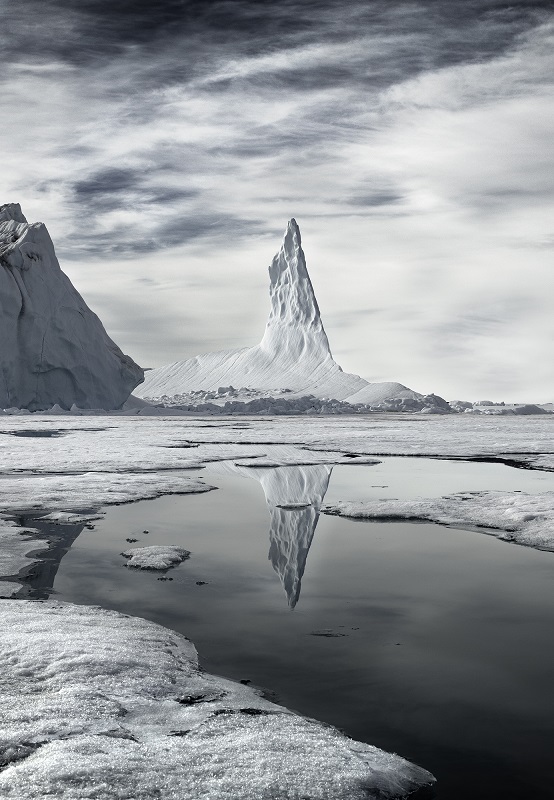 la vendemmia di montenapoleone