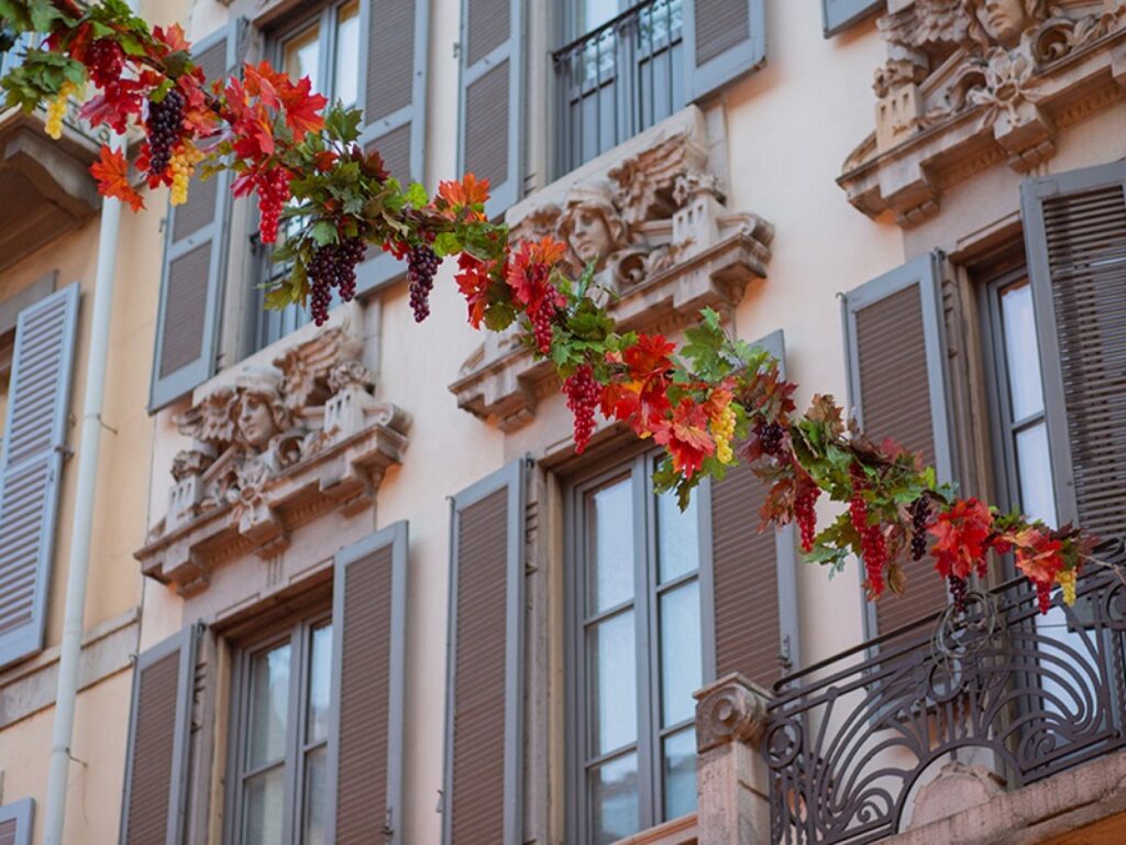 la vendemmia di montenapoleone