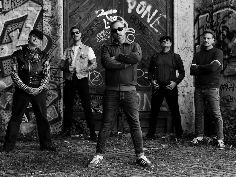 Nuovo Minecraft 20.3cm Personaggio Peluche Morbido Giocattolo Ape - Foto 5