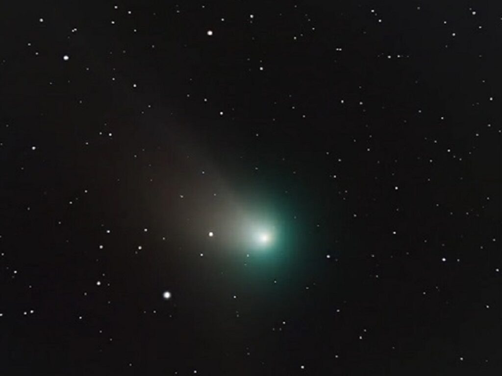 cometa nishimura