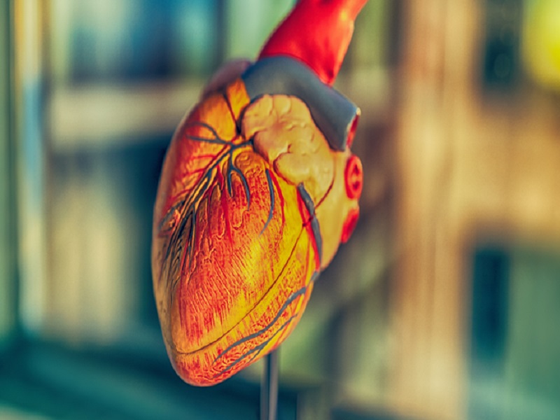 stent ultrasottile glifozine stemi cuore scompenso cardiaco
