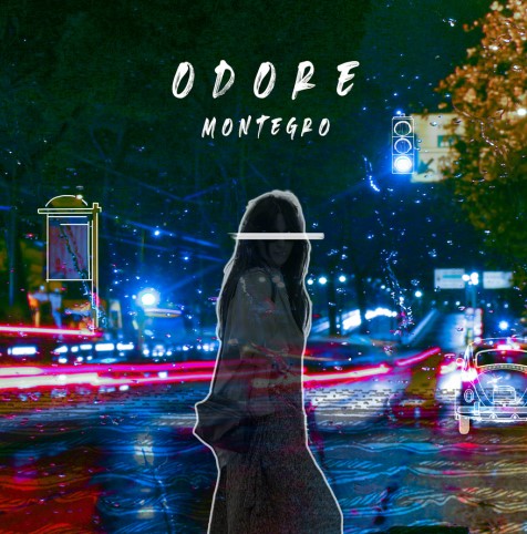 montegro odore