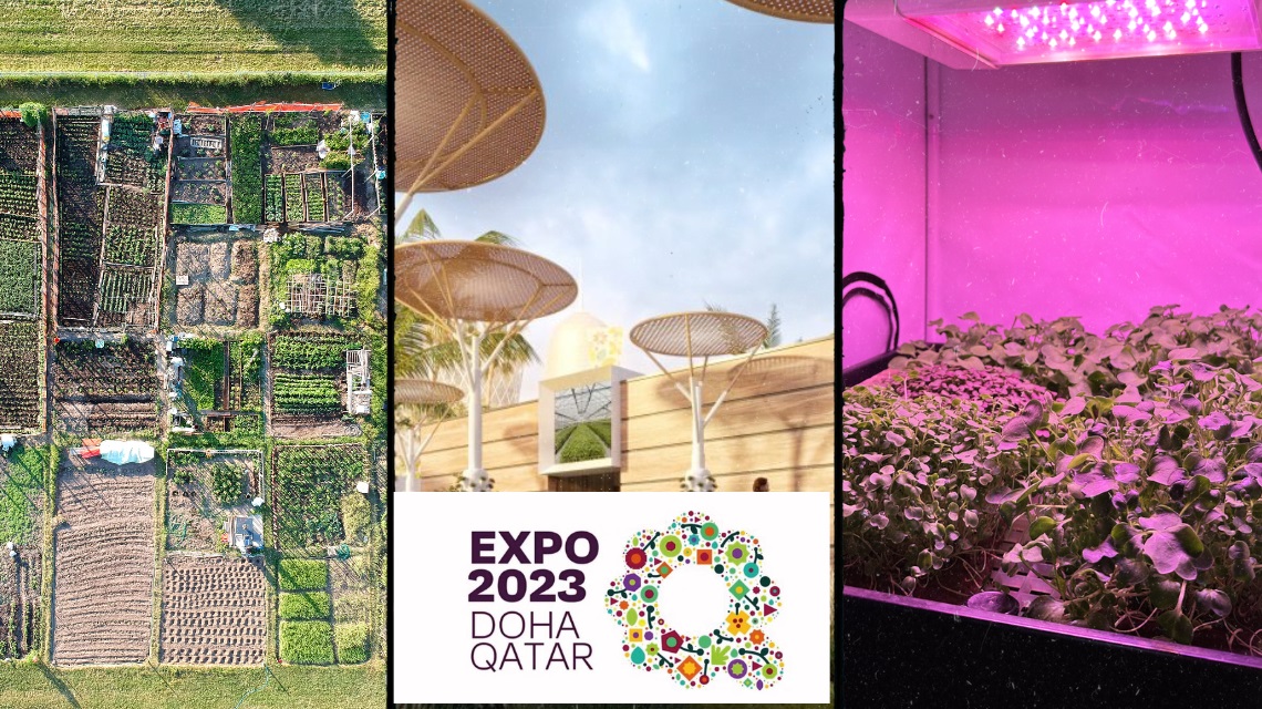 expo doha enea
