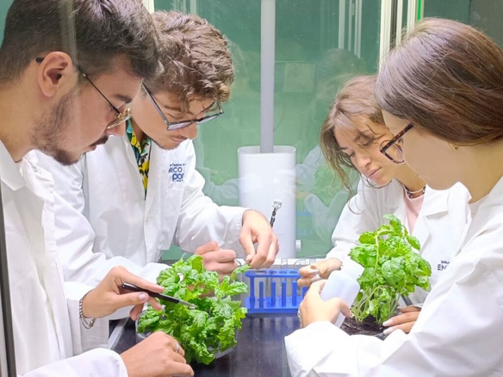 microcosmo enea fos scuole