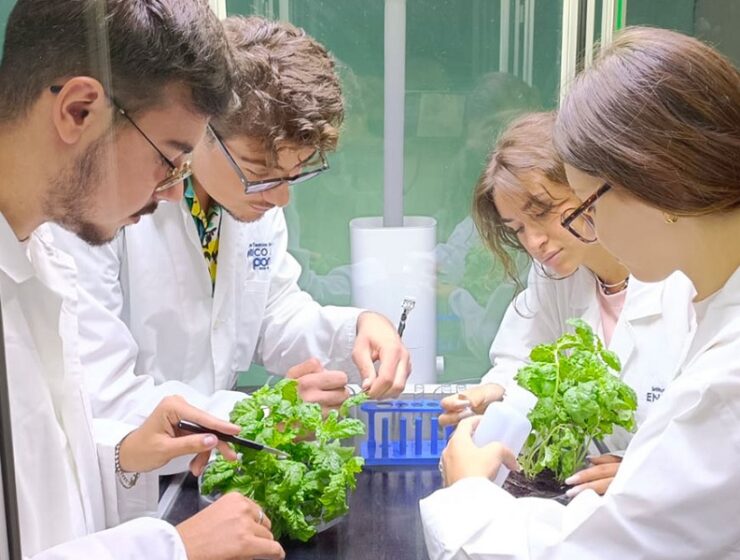 microcosmo enea fos scuole