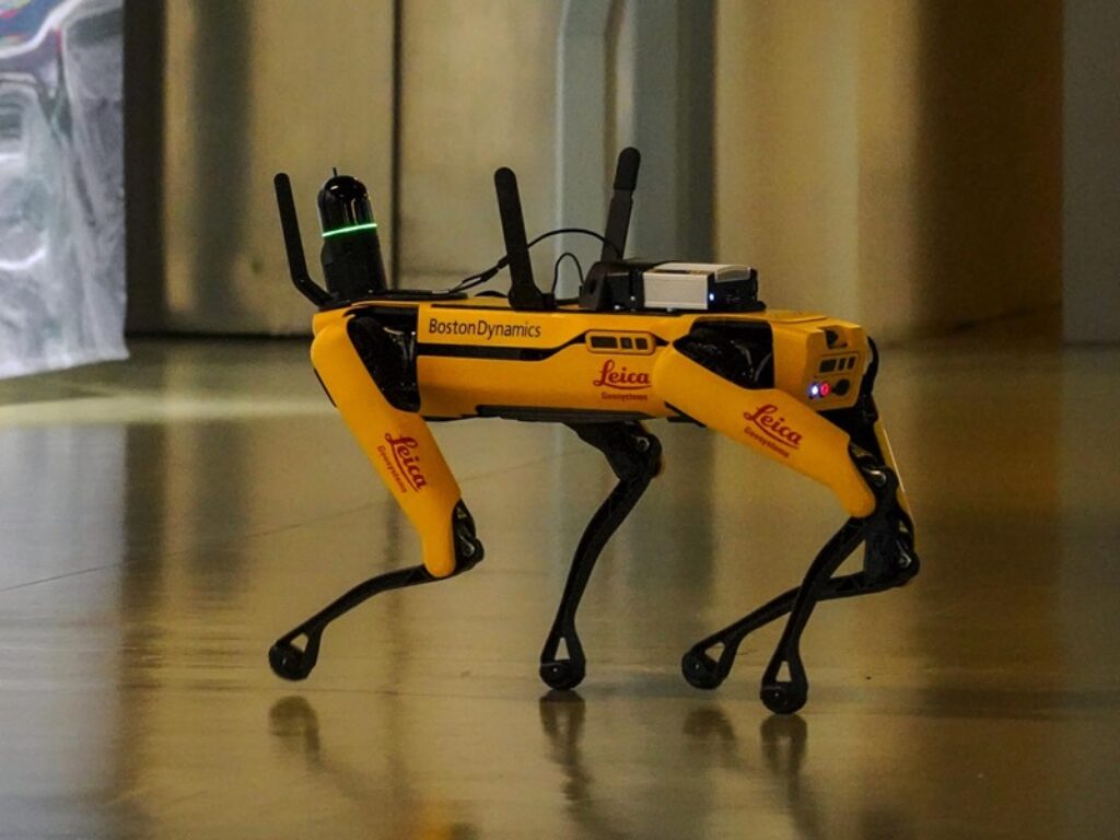 cane robot