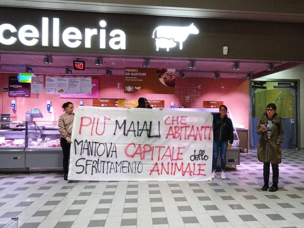 Ribellione Animale