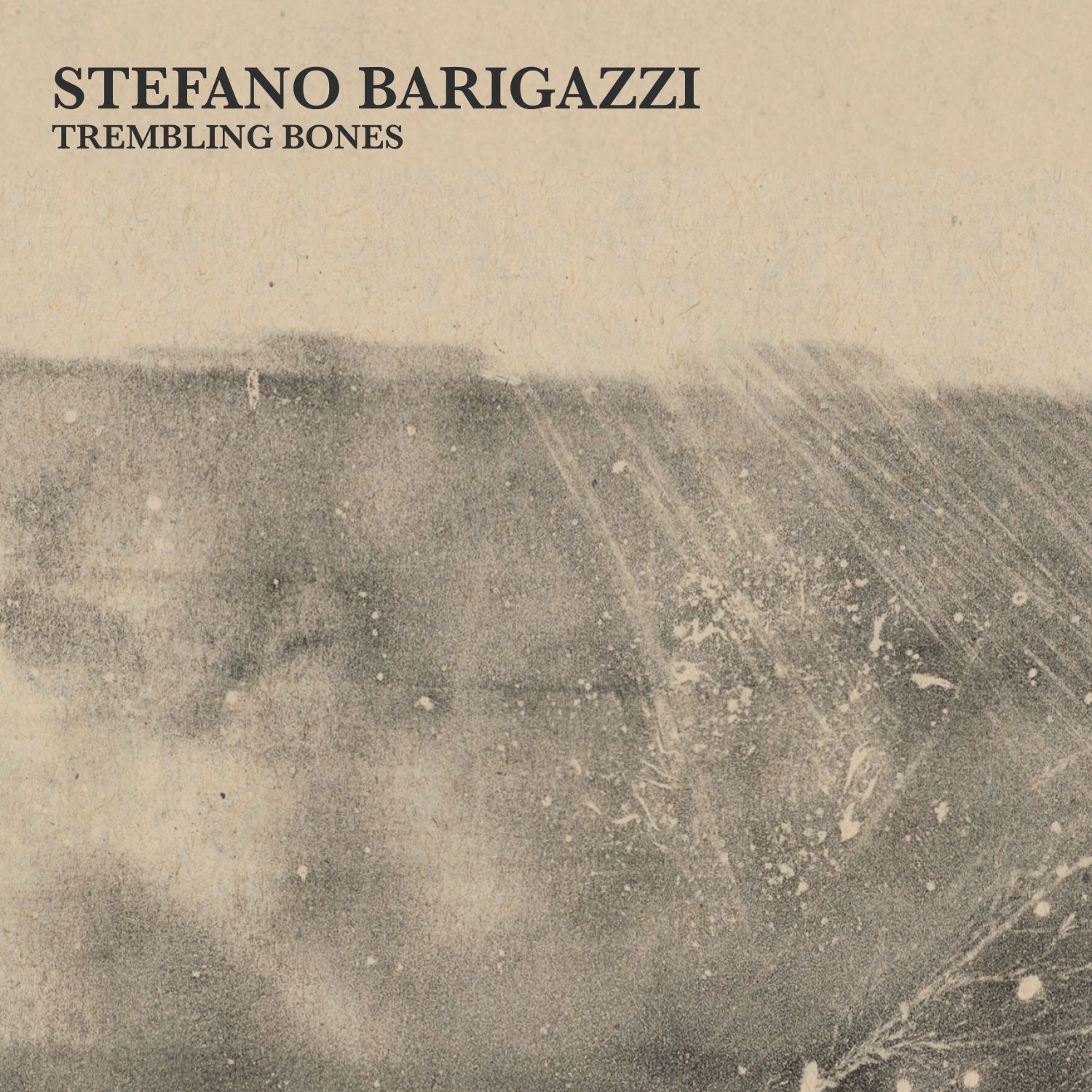 stefano barigazzi