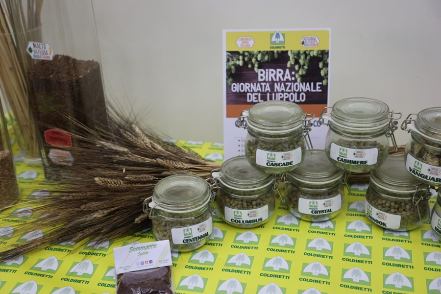 birra luppolo