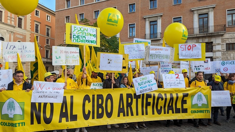 cibo sintetico