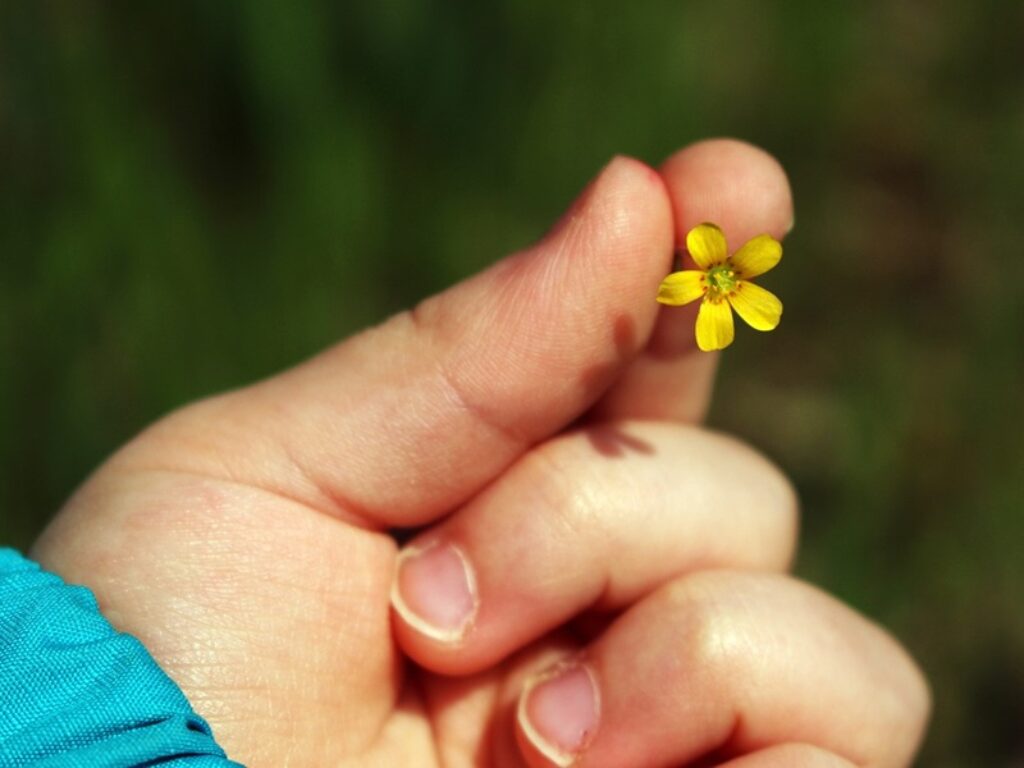giornata della gentilezza