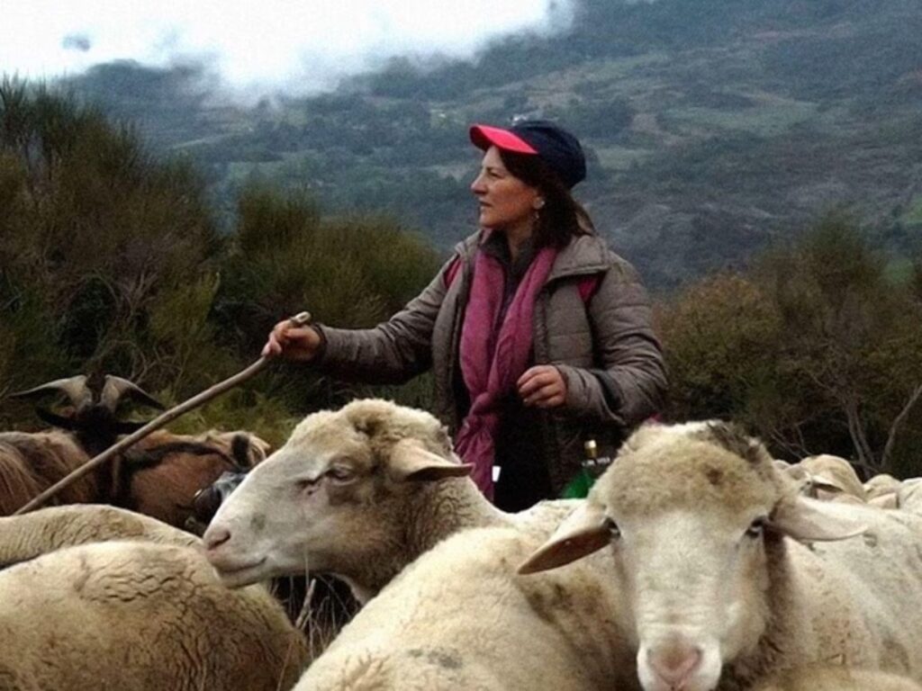 in questo mondo libero