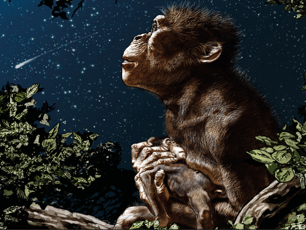 lucy di tanino liberatore